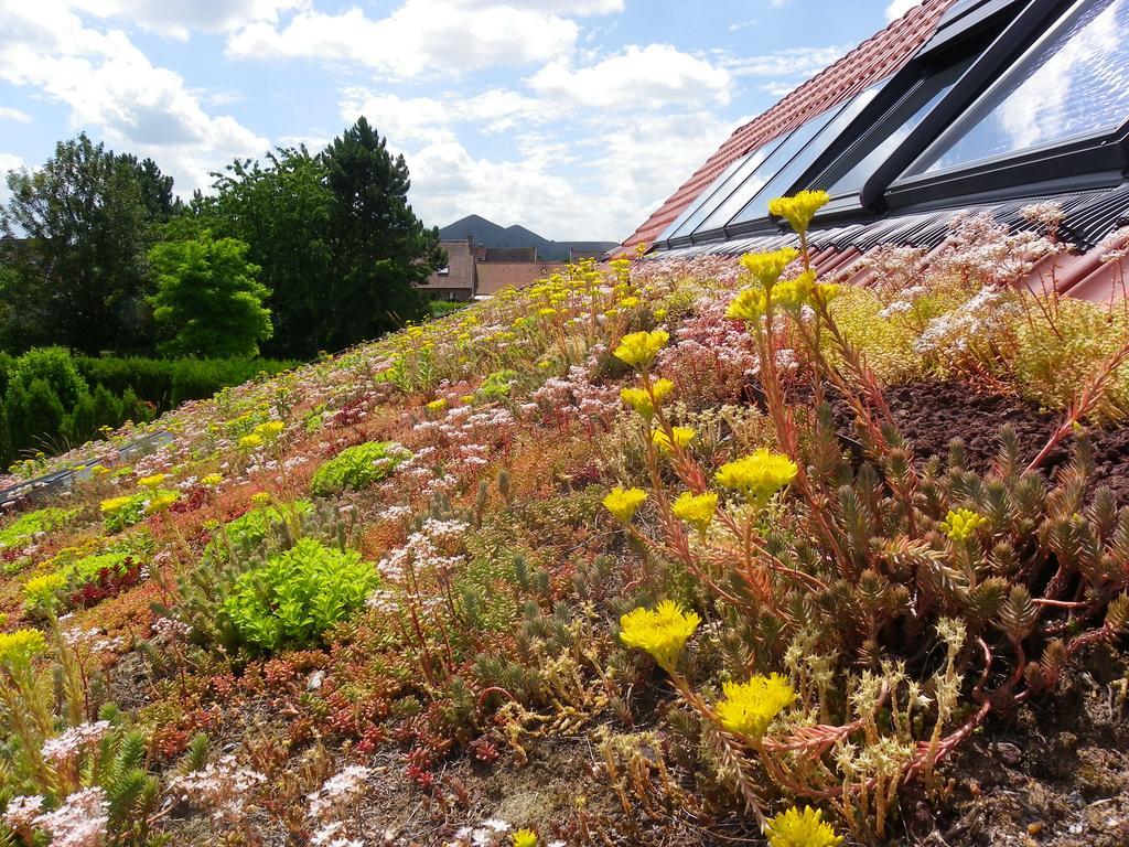 Fleur De Ciel Villa Loos-en-Gohelle Exteriör bild
