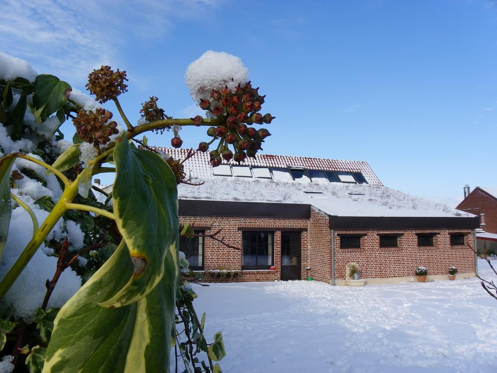 Fleur De Ciel Villa Loos-en-Gohelle Exteriör bild
