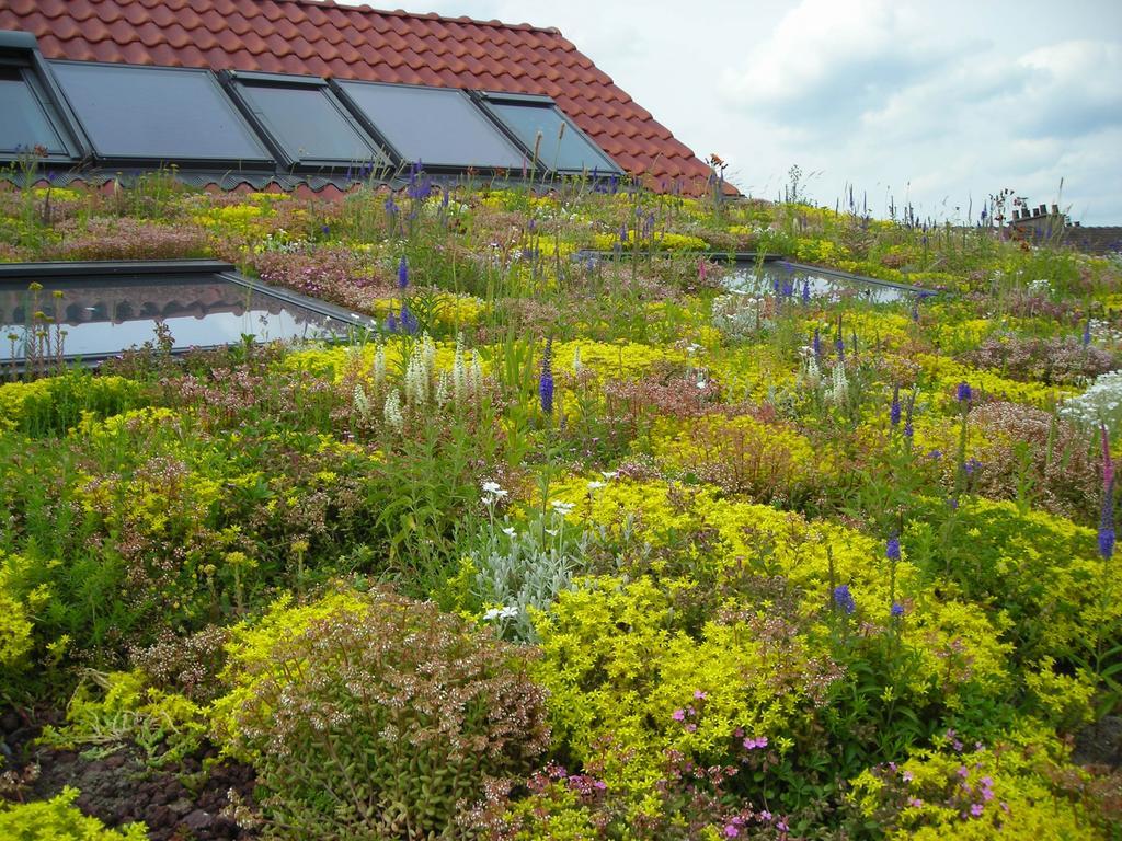 Fleur De Ciel Villa Loos-en-Gohelle Exteriör bild